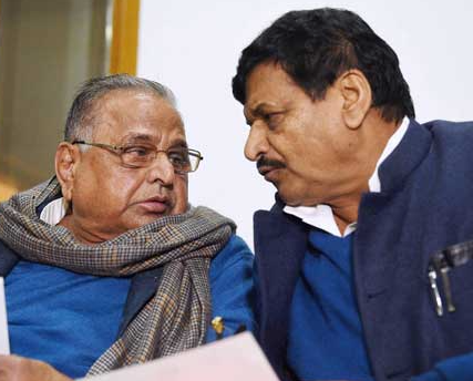 Who Is Behind The Curtain For Palyan In BJP?