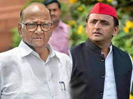 Sharad Pawar Praised Akhilesh Yadav?