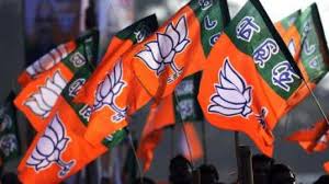 BJP Likely To Change Chief Ministers In States?