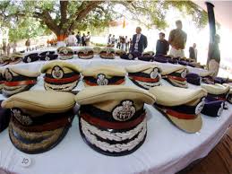 Fifteen AGMUT Cadre IPS Officers Promoted To Selection Grade