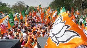 BJP In Search Of New Friends?