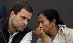 A Bridge Between Didi And Rahul Gandhi?