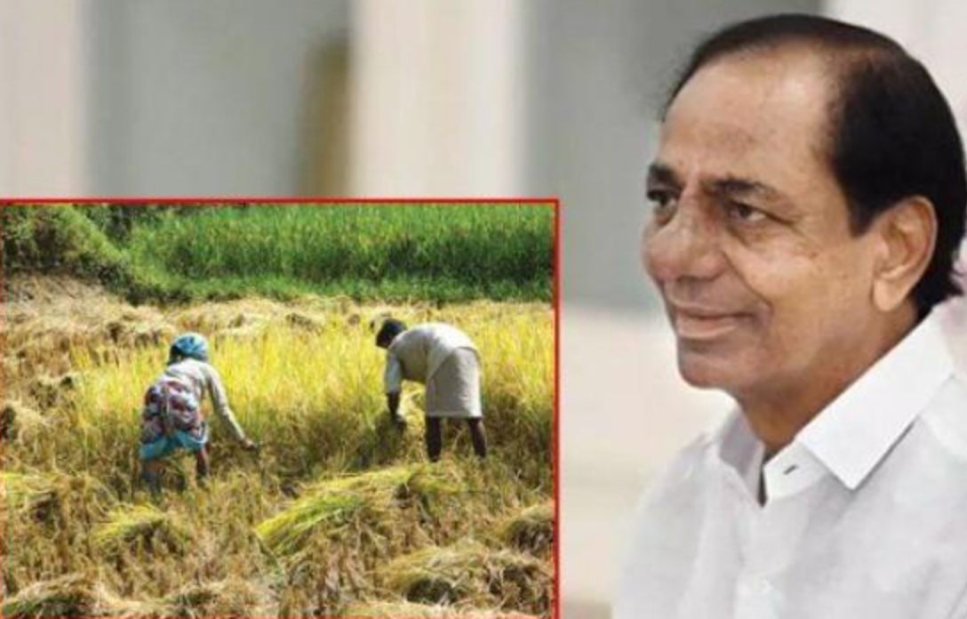 Telangana Government to Waive Agriculture Loan?