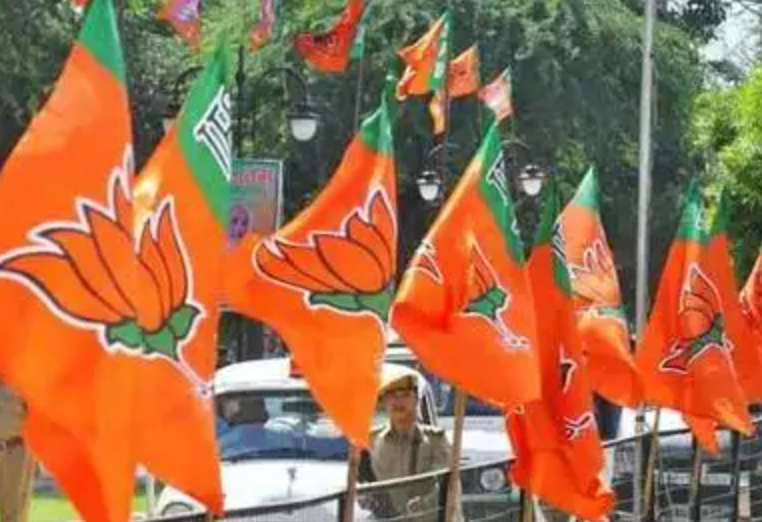 BJP Organising Secretary Snubbed By Party's High Command?