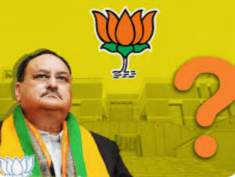 BJP To Select Working President Soon?