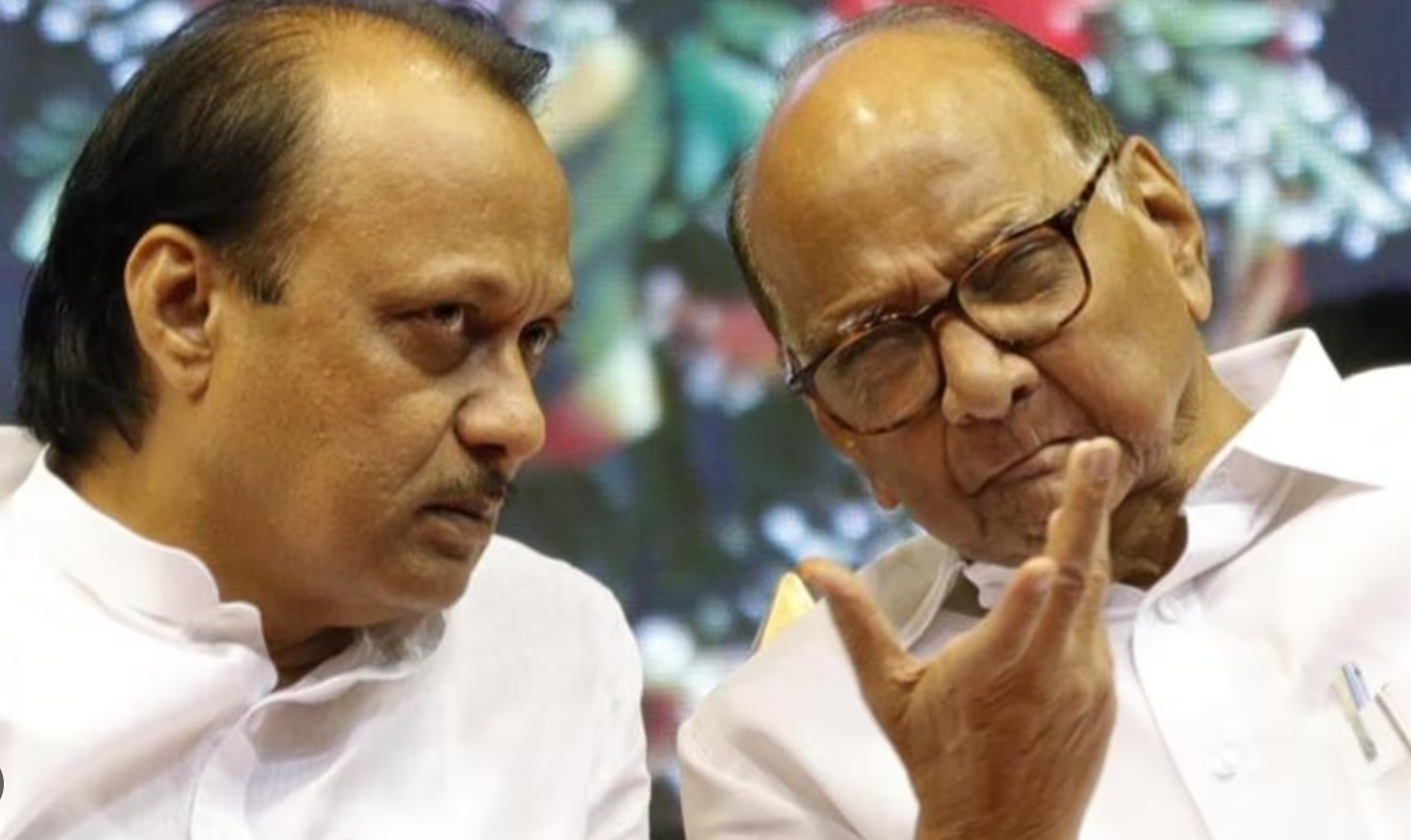 Senior And Junior Pawar Likely To Join Hands?