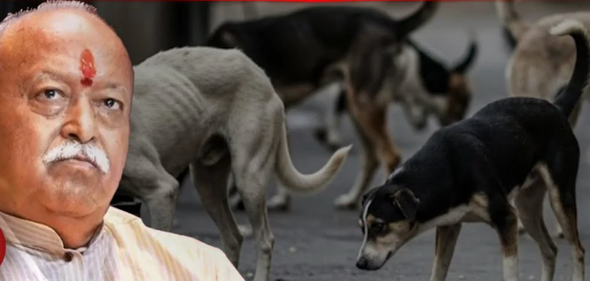 RSS Chef Suggestion On Stray Dogs- A Sympathetic Approach Towards Animals?