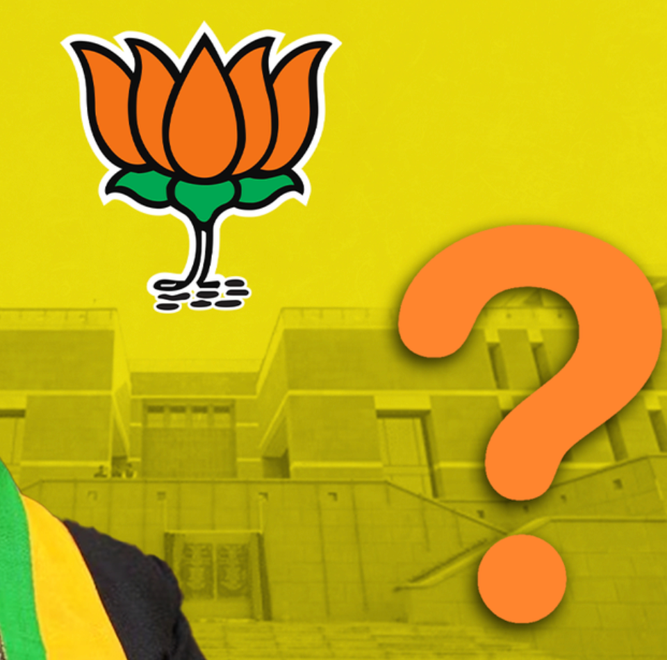 New BJP President Appointment Next Year?